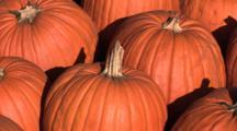 Squash