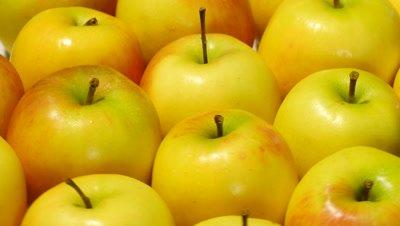 Apple And Hawthorn