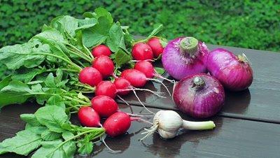 Onion